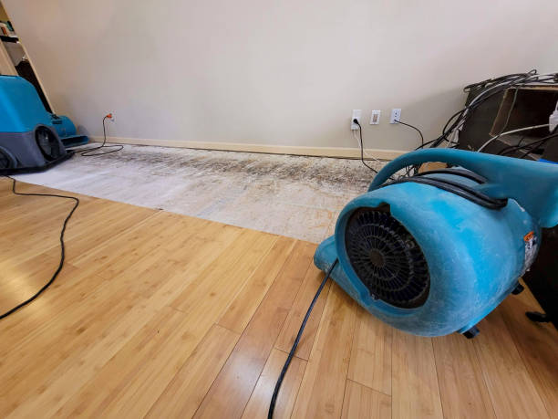 Professional Sewage Cleanup technician working in Clinton, IN